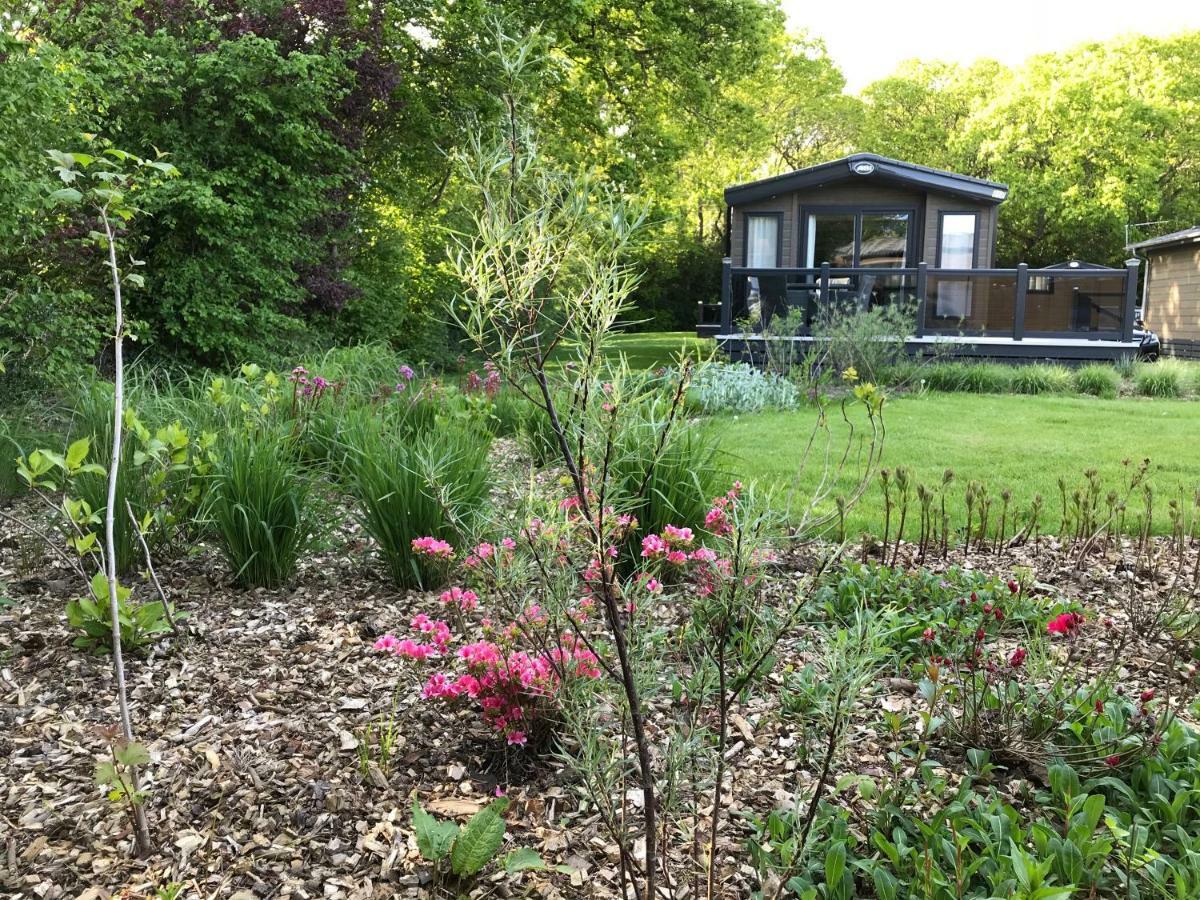 New Forest Holiday Lodge New Milton Zewnętrze zdjęcie